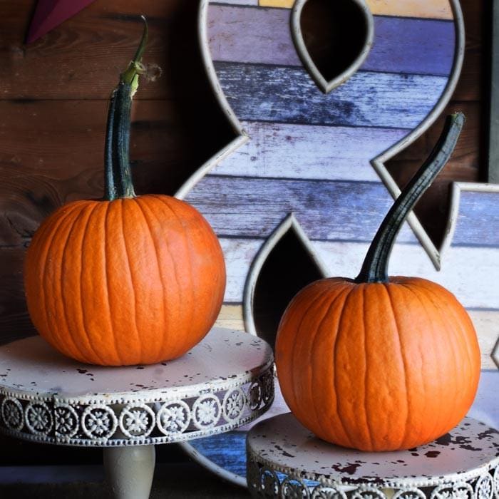 field trip pie pumpkins