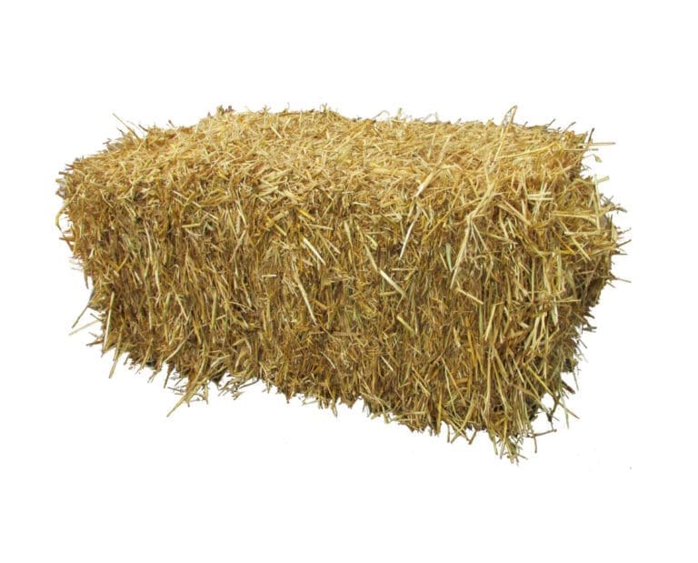 Straw Bale