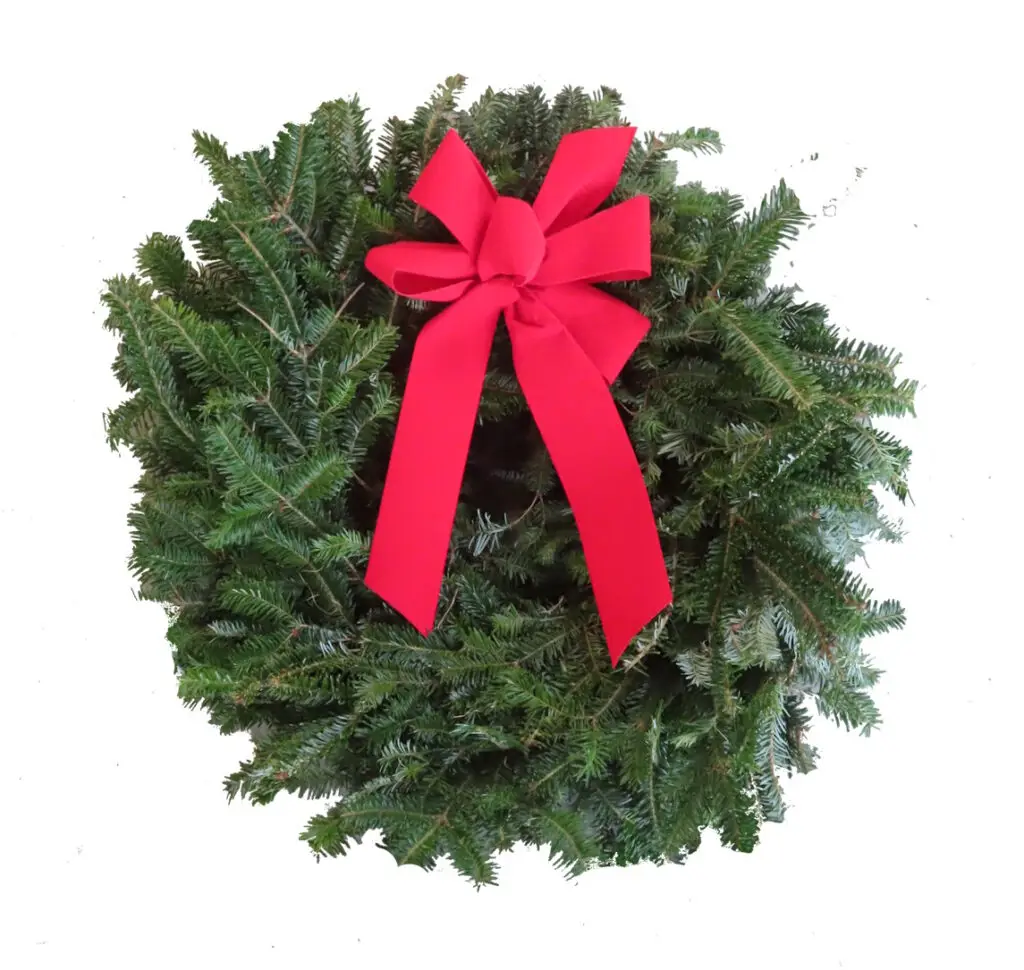 22" Fresh Fraser wreath with a bow